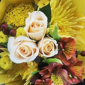 Meet your Posher, Jose